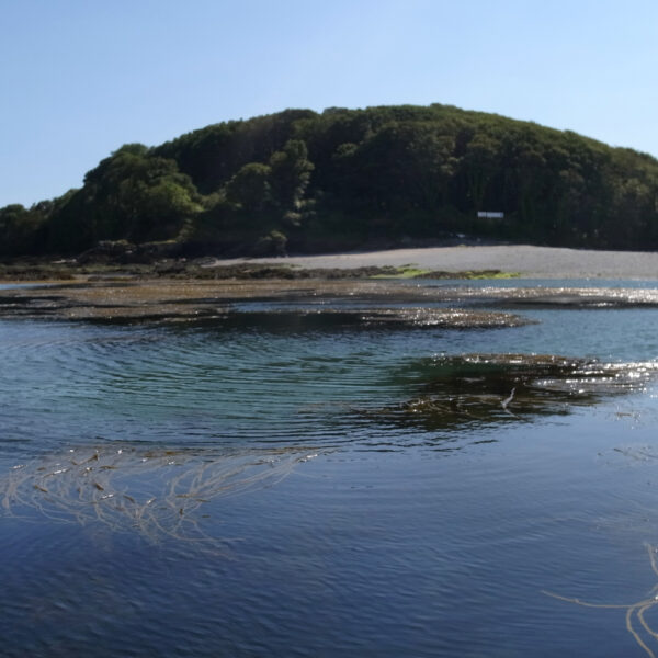 Looe Island
