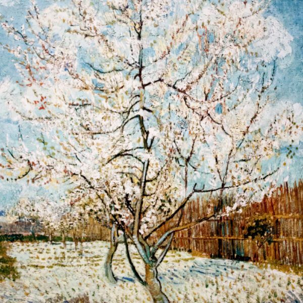 Blossoming Pear Tree, April 1888