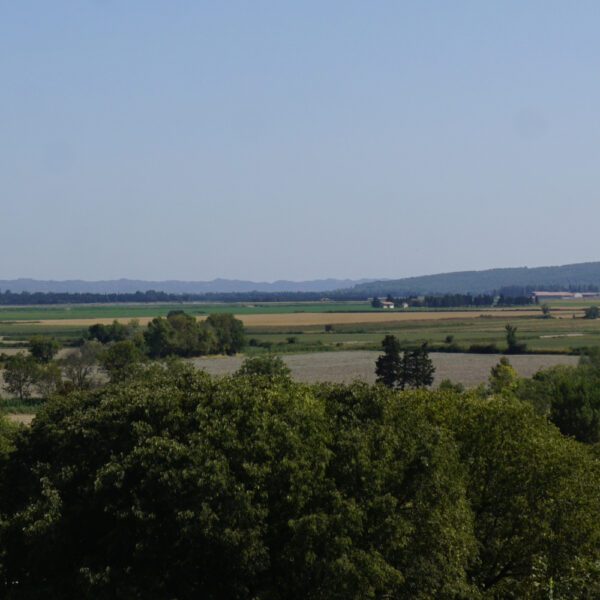View of the Crau from Montmajour rock
