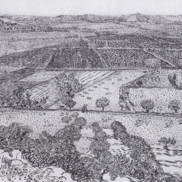 La Crau Seen from Montmajour, July 1888